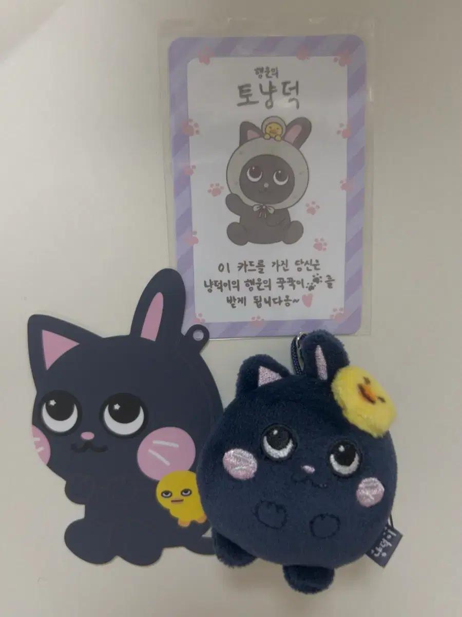 라이즈 원빈 미니 토냥덕 & 토냥덕 럭키카드