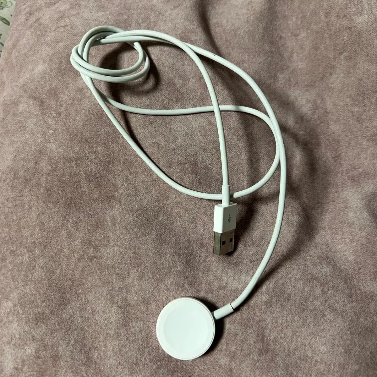 애플워치 충전기 정품 USB 타입