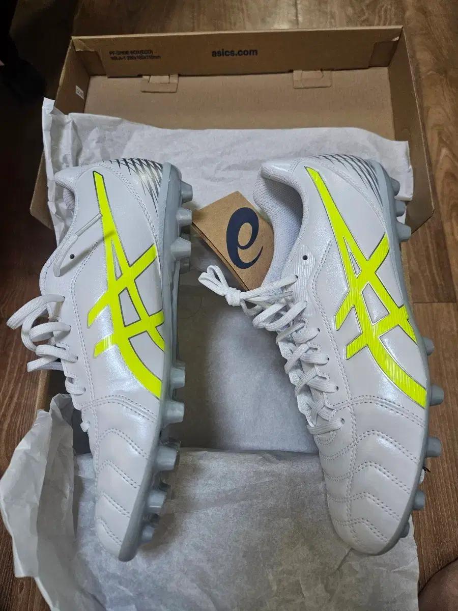 아식스 축구화 ds light club ag 260