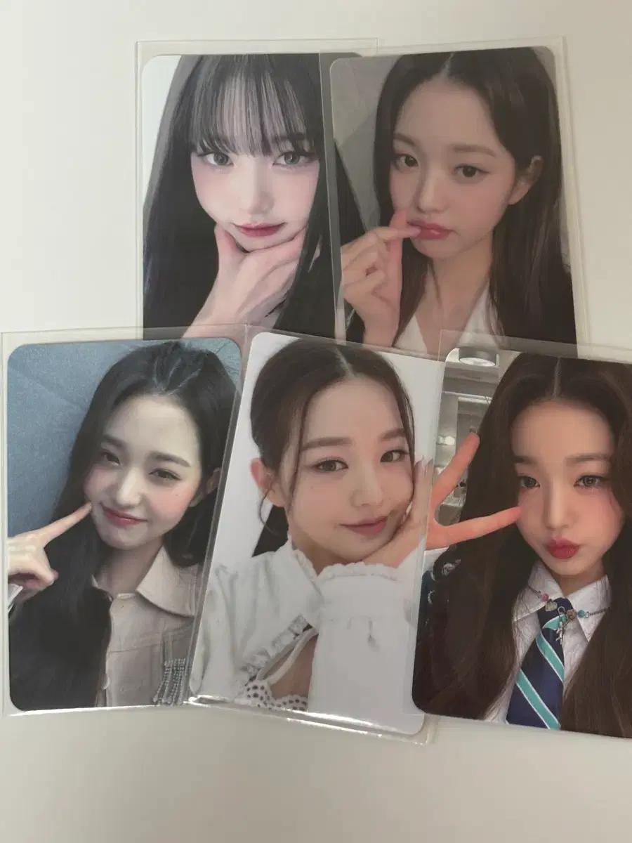 아이브 스쿱 랜박 비공굿 공굿 랜포 시세킹 미공포 리바이브 정규 분철
