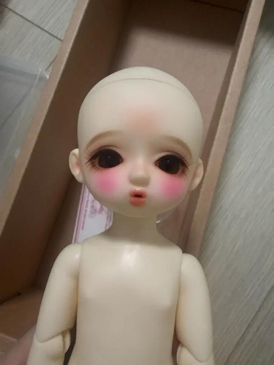 치카비 도로시 구체관절인형+희귀! 티니핑 컴팩트 택포