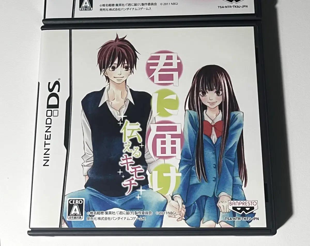 너에게 닿기를 전하는 마음 닌텐도 DS 칩 3ds 일본판 순정만화