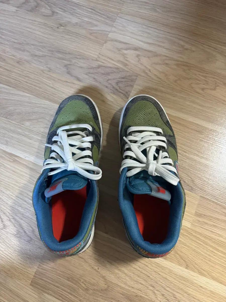 Nike Dunk Low Premium Siempre Familia