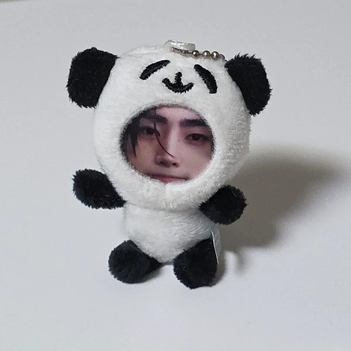 엔하이픈 성훈 인형 포토톡