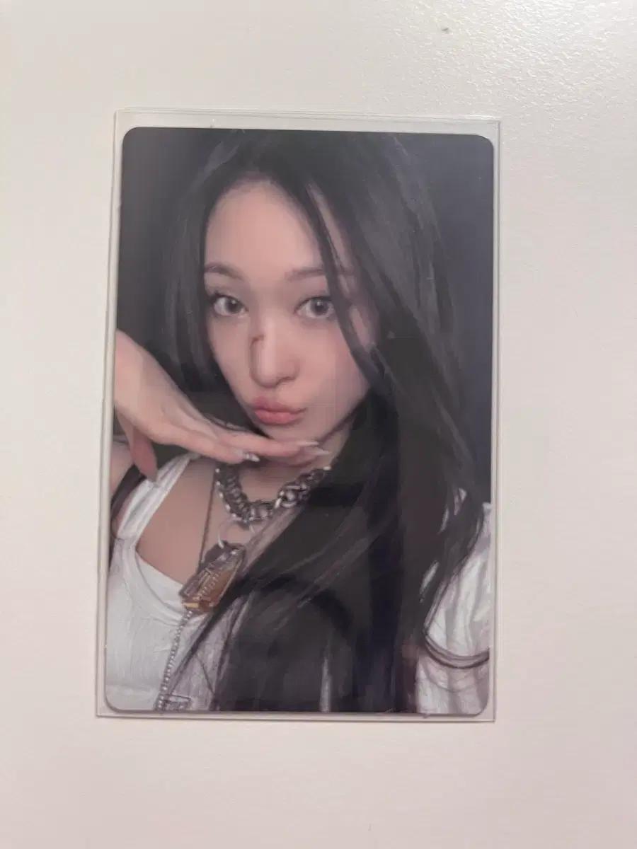 올데이프로젝트 애니 포카