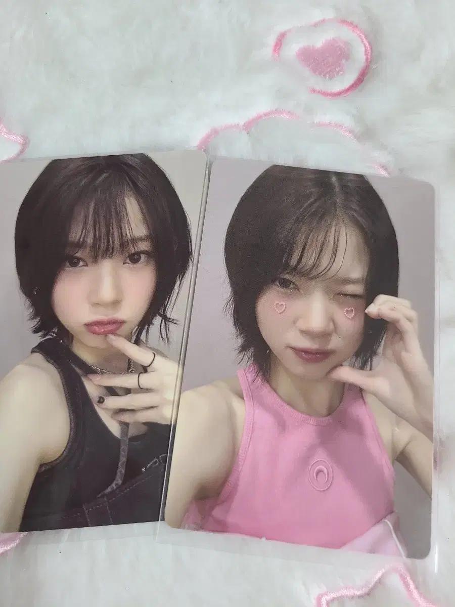 유니스 코토코 포토카드