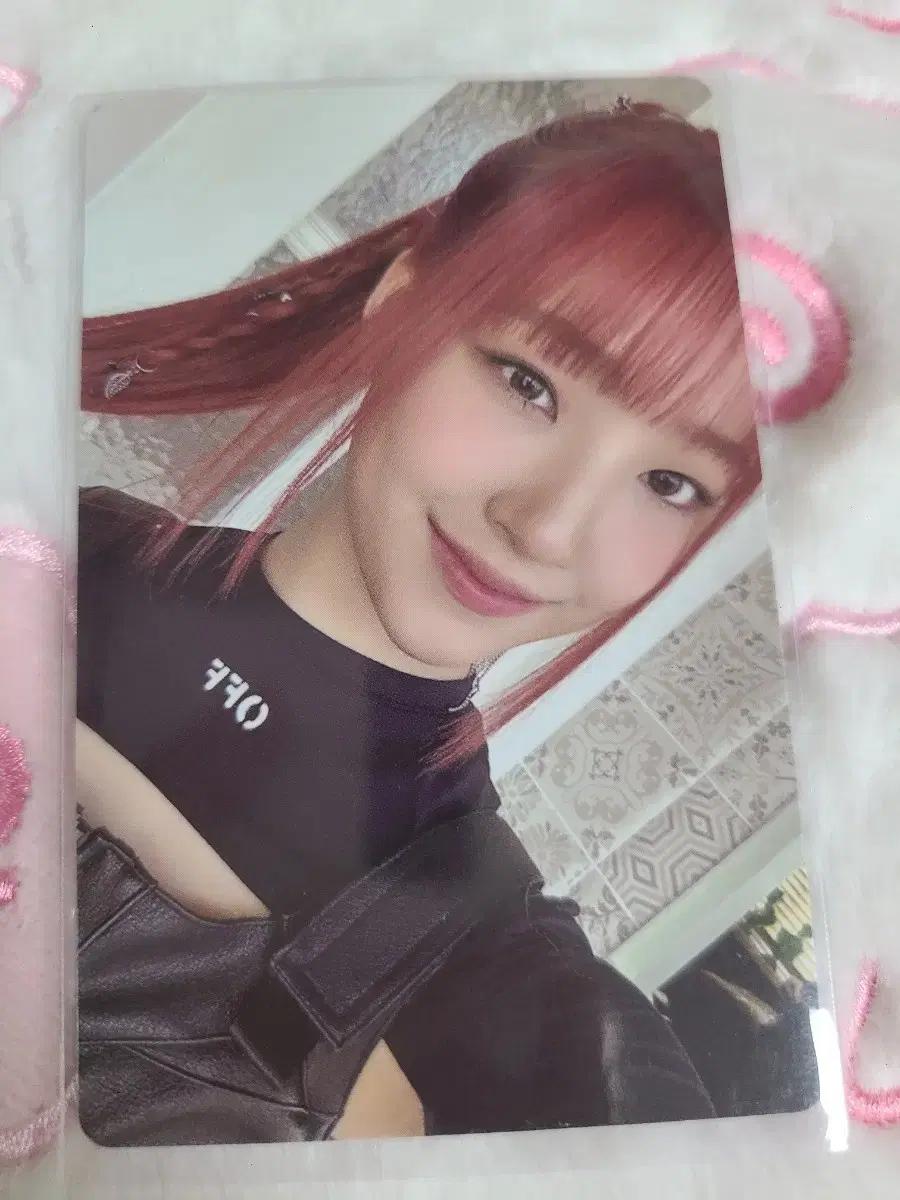 유니스 방윤하 포토카드