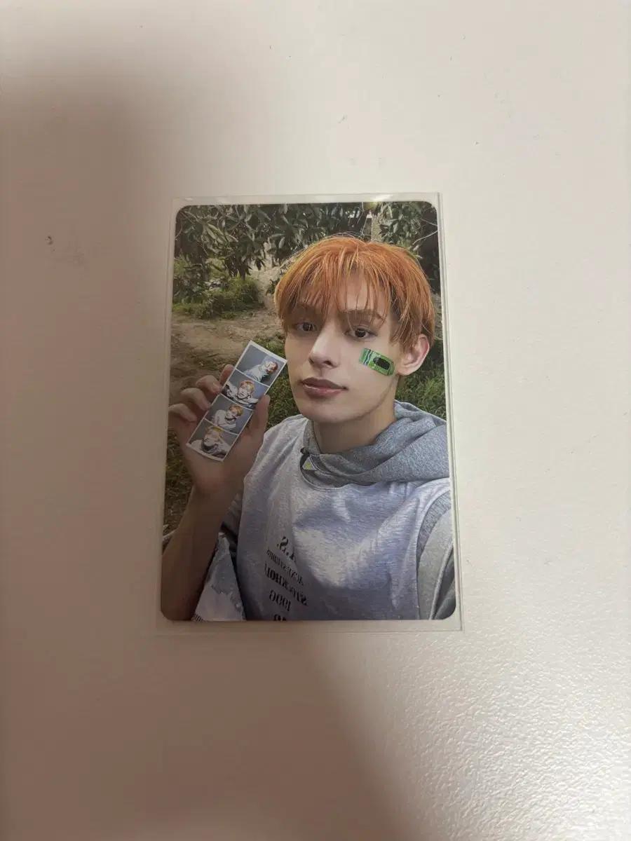 코르티스 제임스 포카 cortis