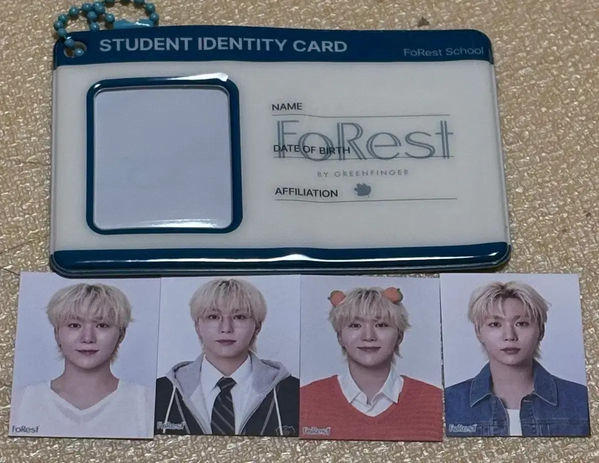 세븐틴 승관 포레스트 증사 일괄