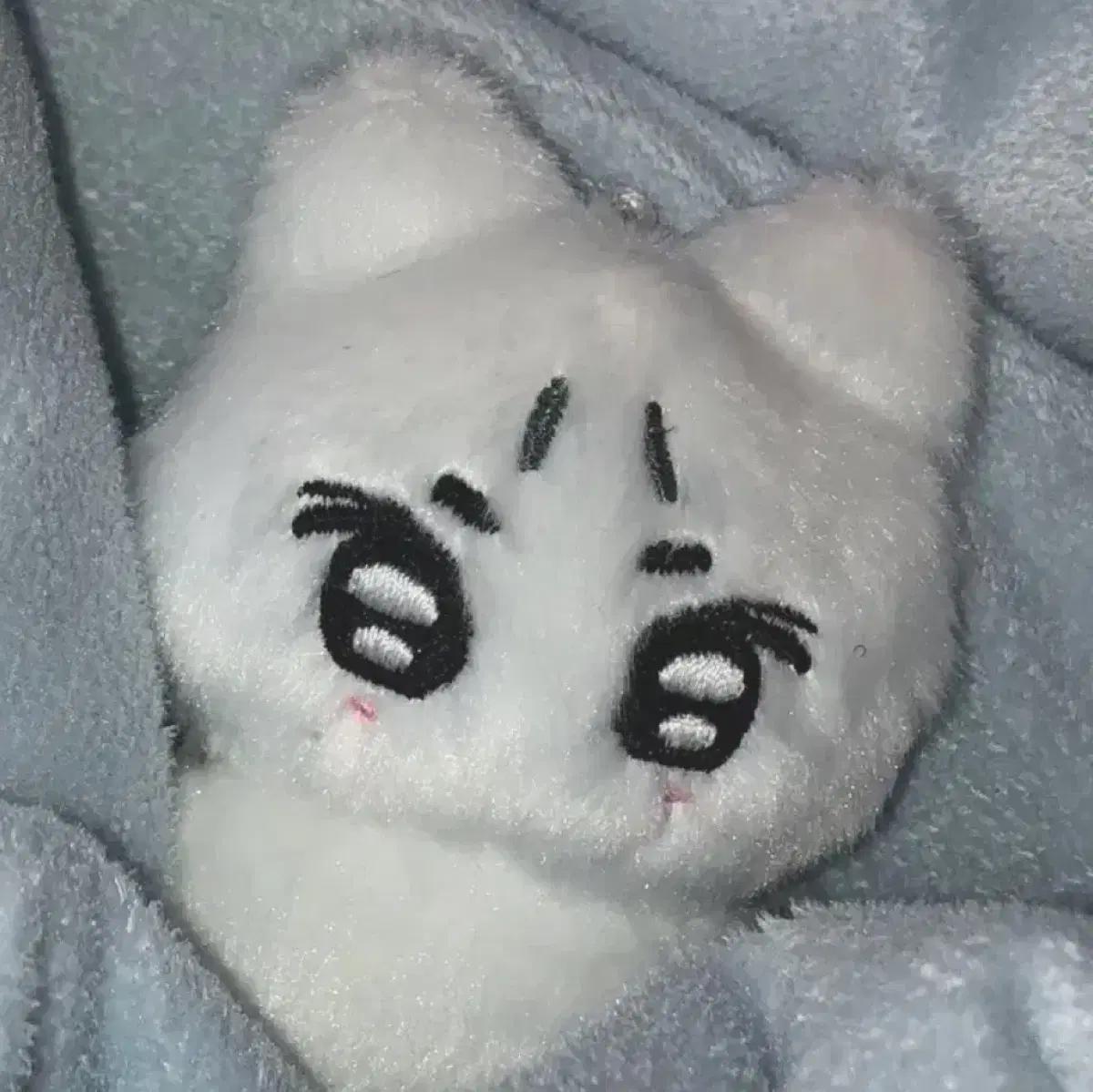 엔하이픈 양정원 냥쩡군 정원 구해요
