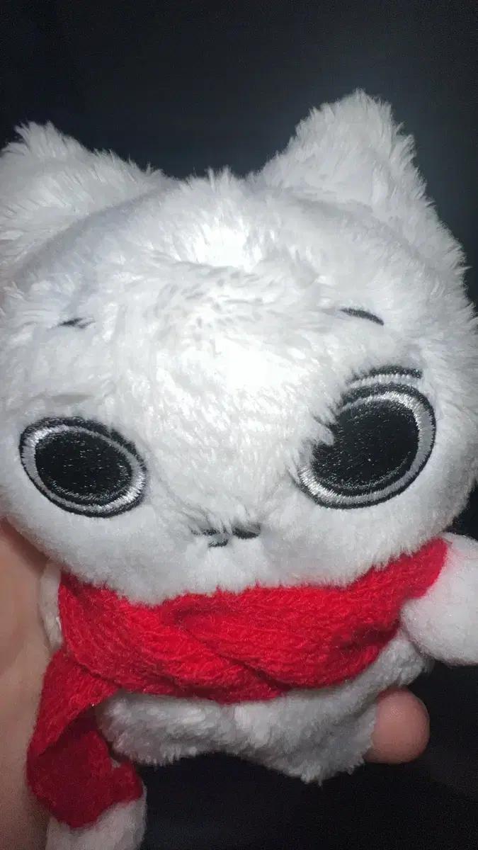 보넥도 성호 인형 비대성 흰게냥