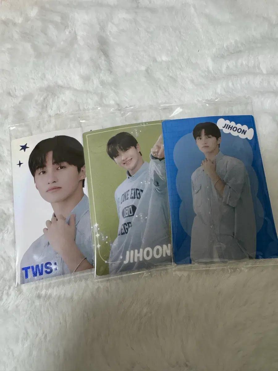 투어스 반다이 웨하스 포카 지훈 3종 세트 일괄