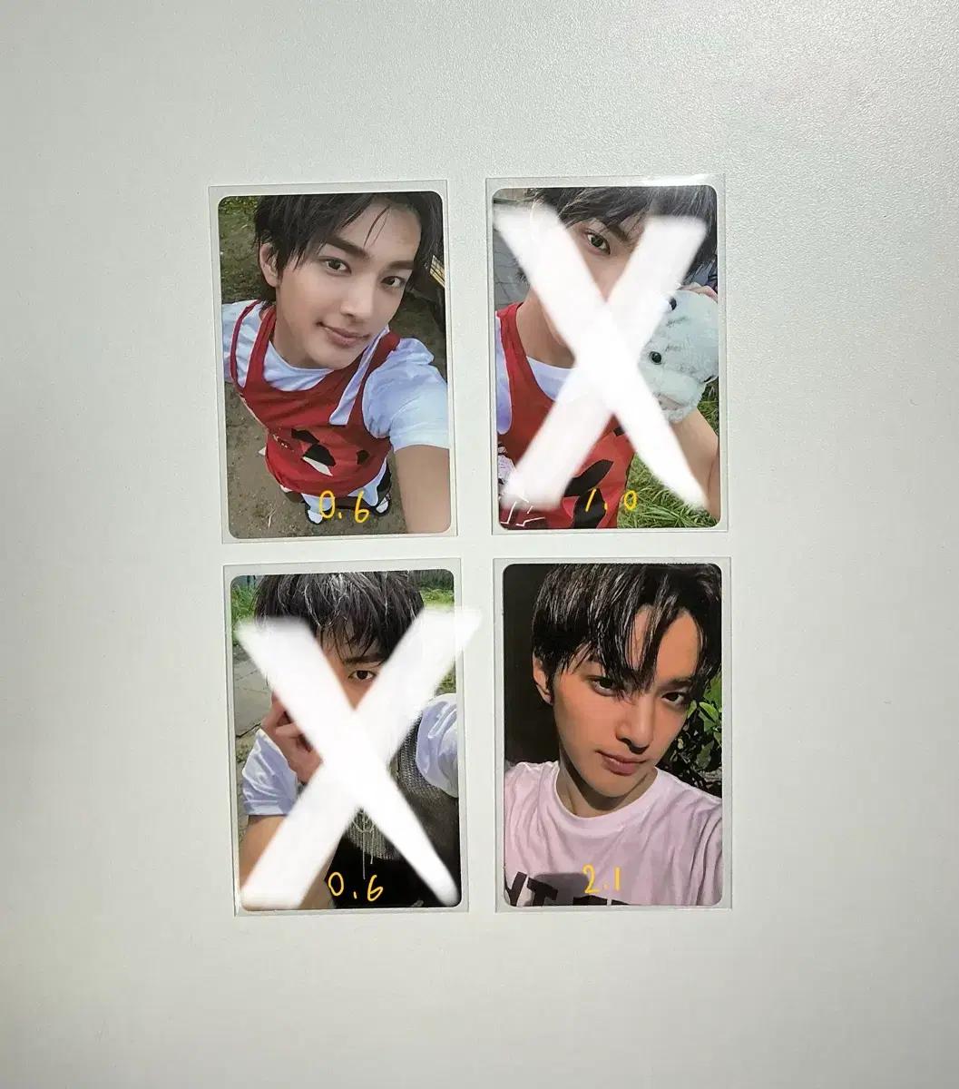 코르티스 건호 포카 양도