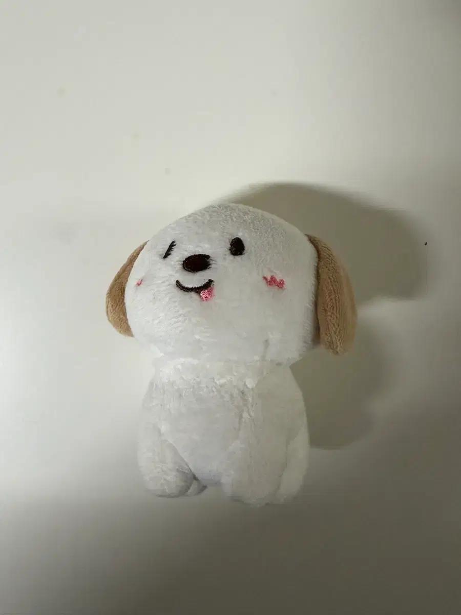 라이즈 앤톤 1기 멍룡이 판매