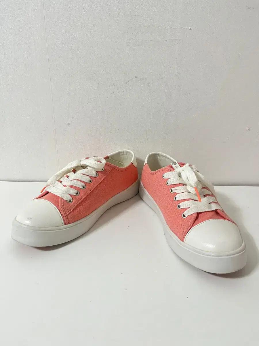 250 PROSPECS 스니커즈 운동화 정품