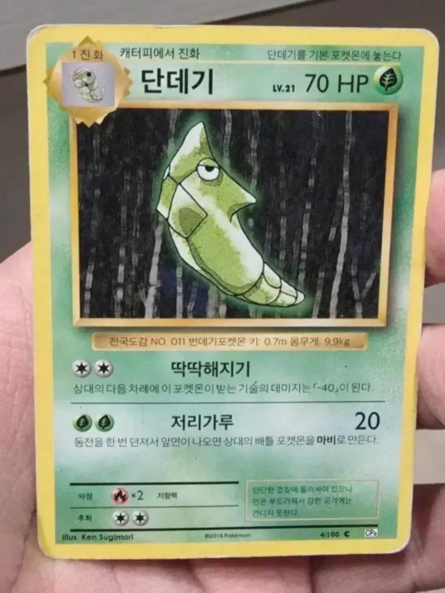 포켓몬카드 고대 단데기 CP6