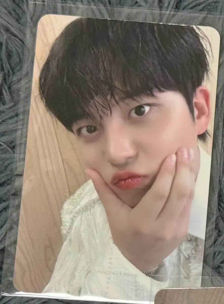 에이티즈 종호 미니레코드 트레저 미공포