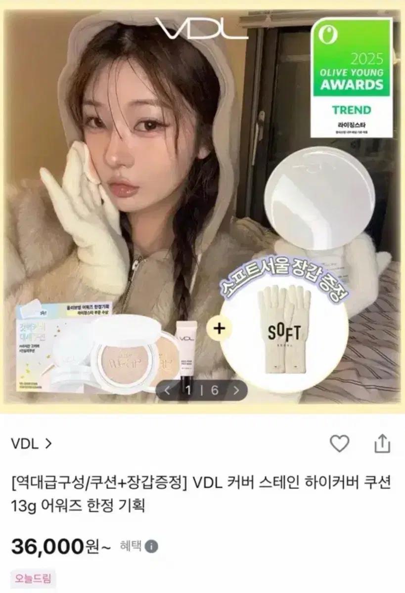 VDL 커버 스테인 하이커버 쿠션 A01