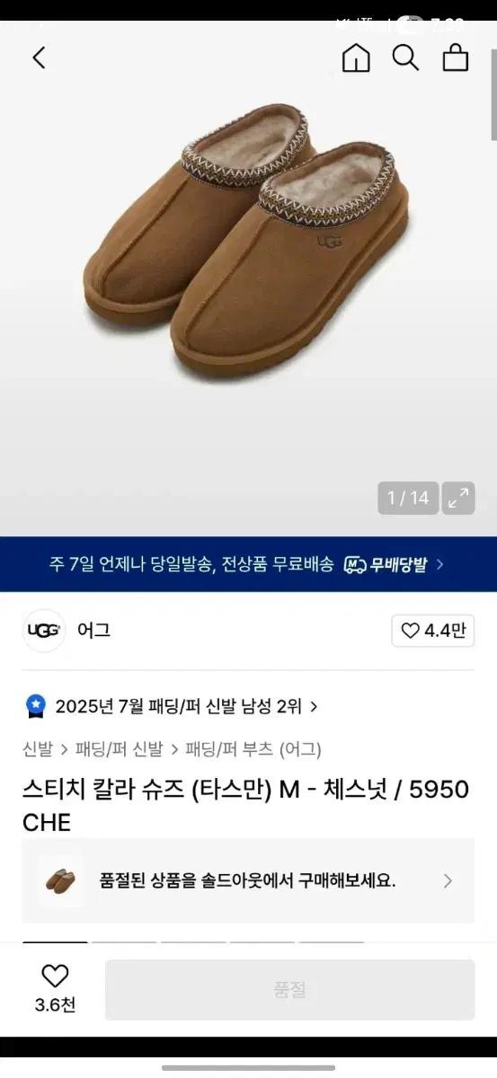 어그 타스만 스티치 칼라 체스넛 260