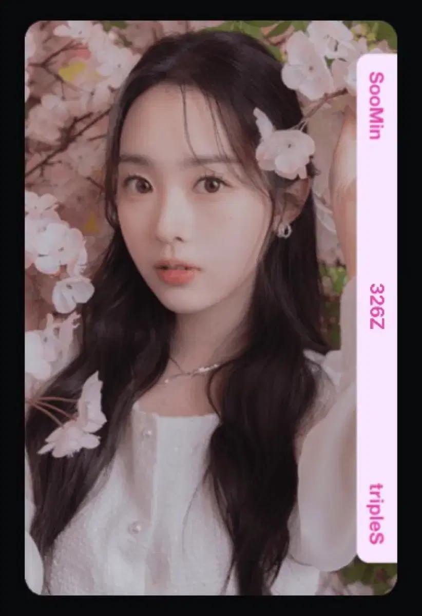 트리플에스 tripleS 수민 벚꽃 오브젝트 판매 양도