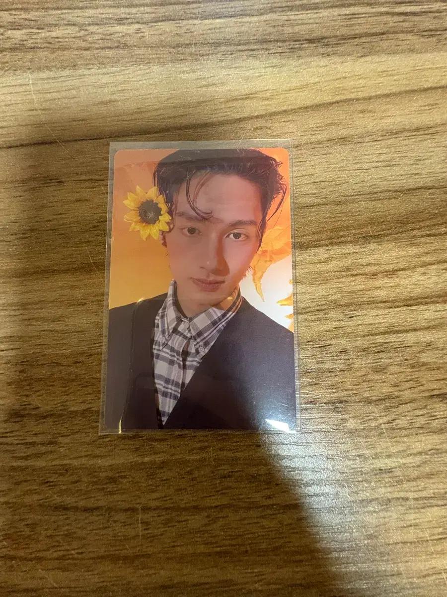 17 IS RIGHT HERE HERE Ver 준 포카