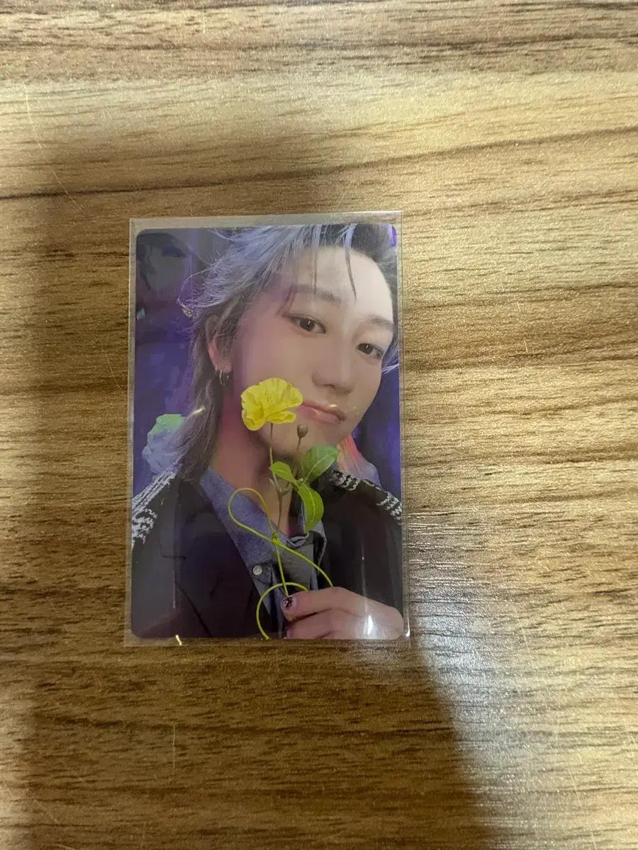 17 IS RIGHT HERE HERE Ver 디에잇 포카