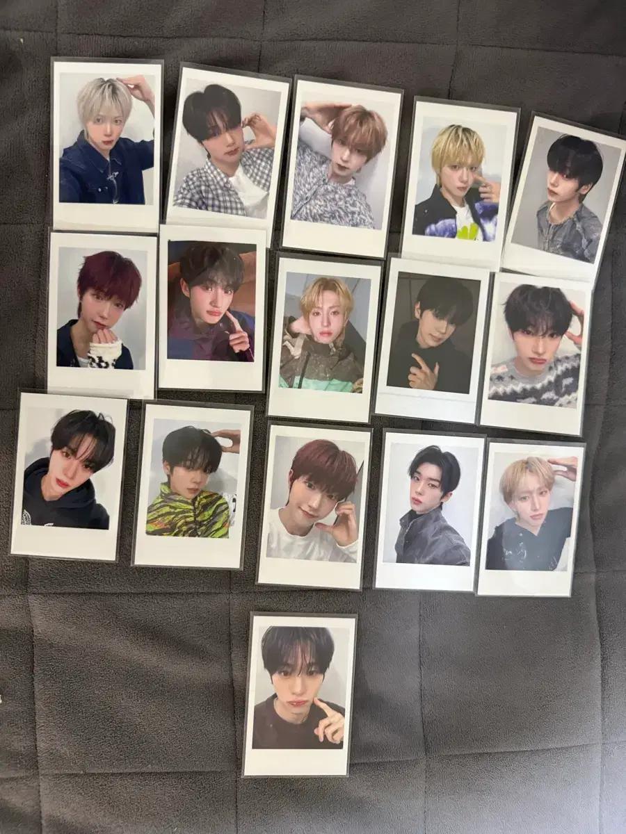 idntt(아이덴티티)포카 팝니다