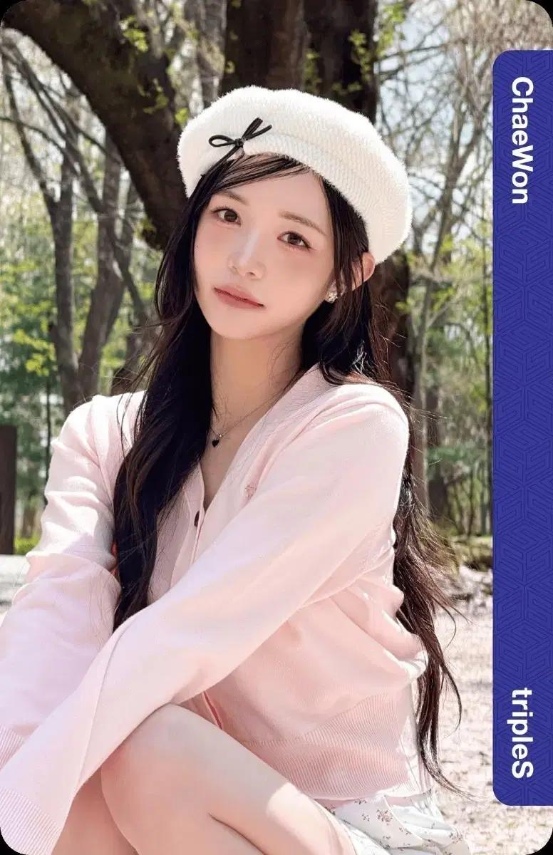 tripleS 트리플에스 PCO 김채원 AA402 프리미어클래스 오브젝트
