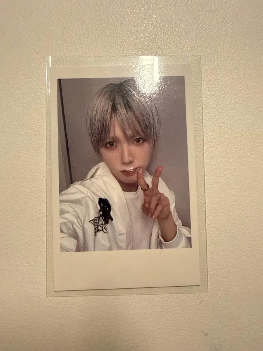 아이덴티티 idntt 김성준 포카 미공포