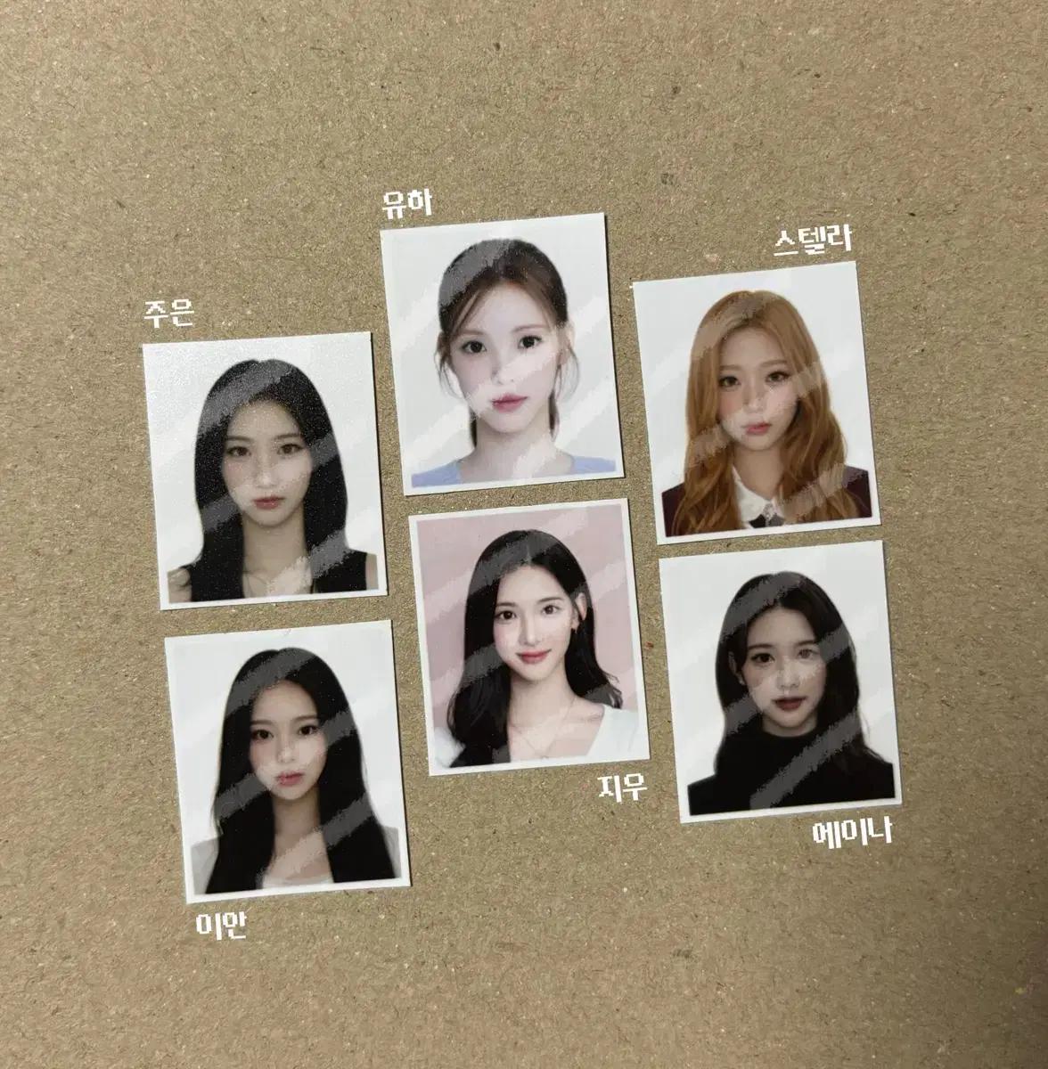 하츠투하츠 하투하 증명사진 증사