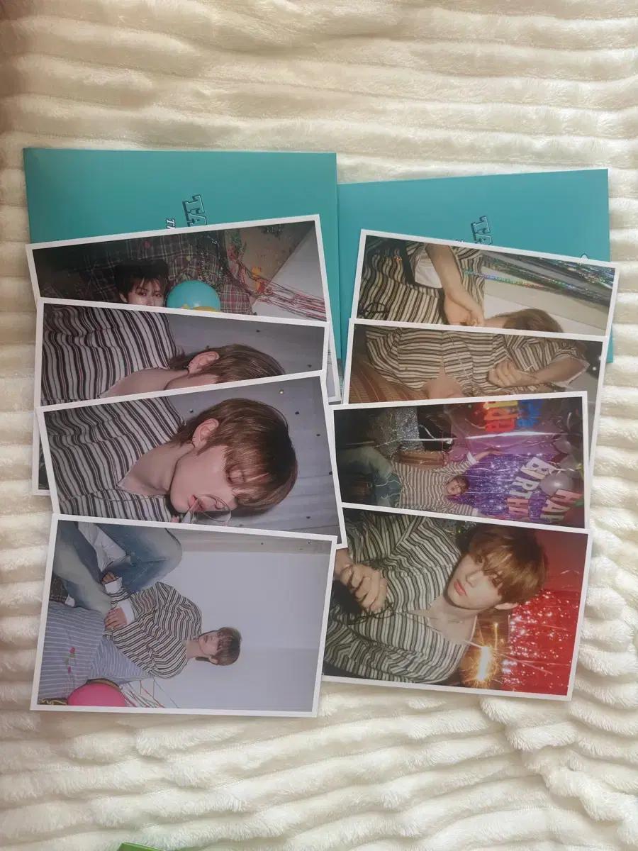 보넥도태산생일엠디(1.5)
