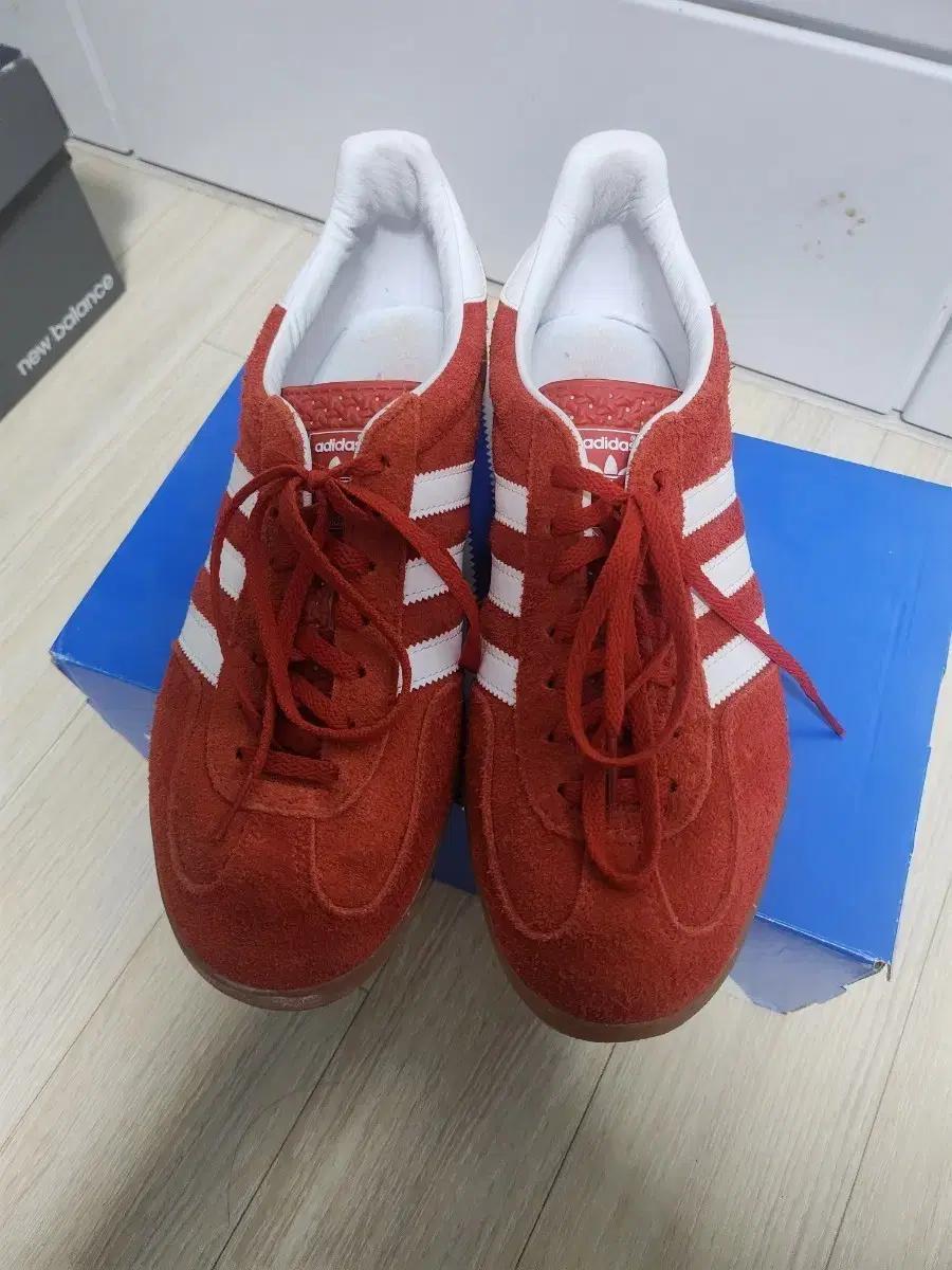 아디다스 가젤 인도어 스칼렛