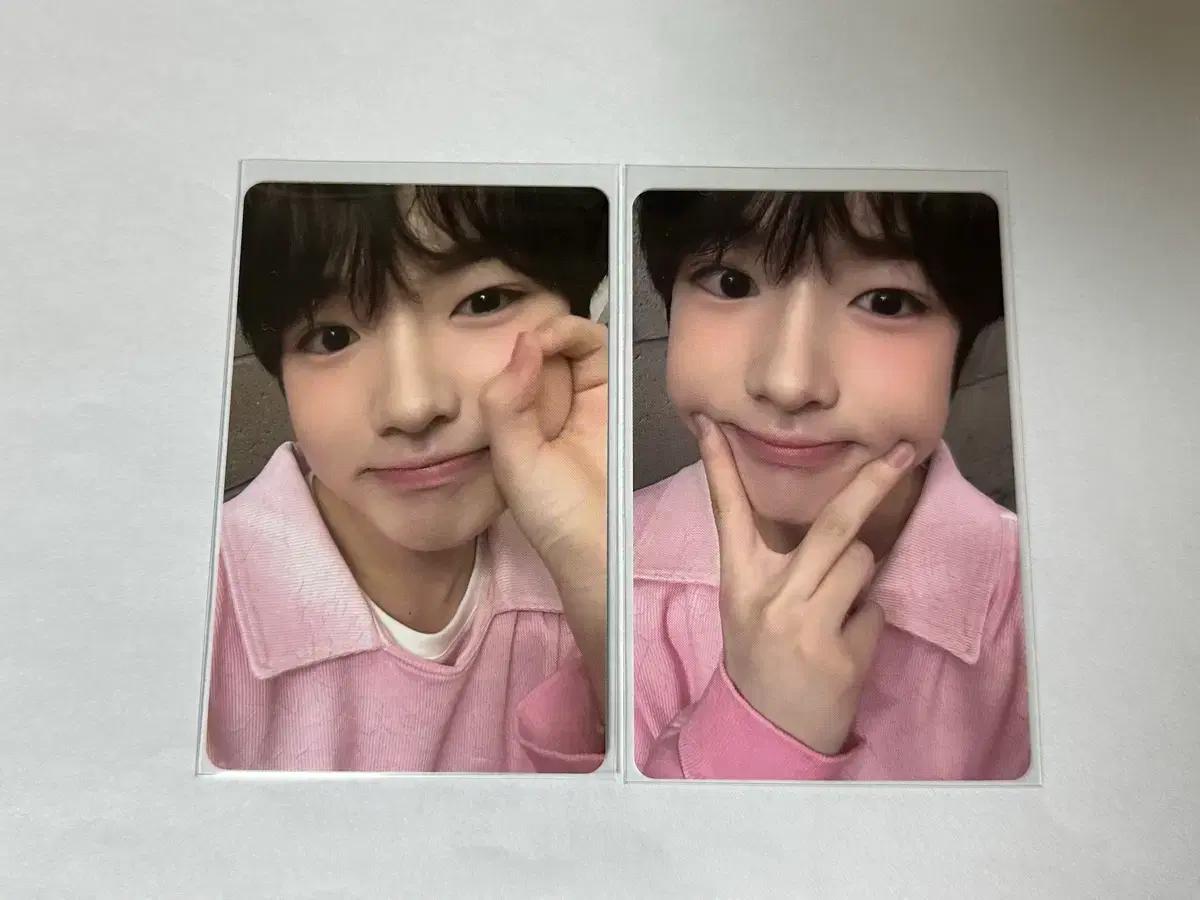 엔시티 위시 사쿠야 포카 일괄 양도(1.6)