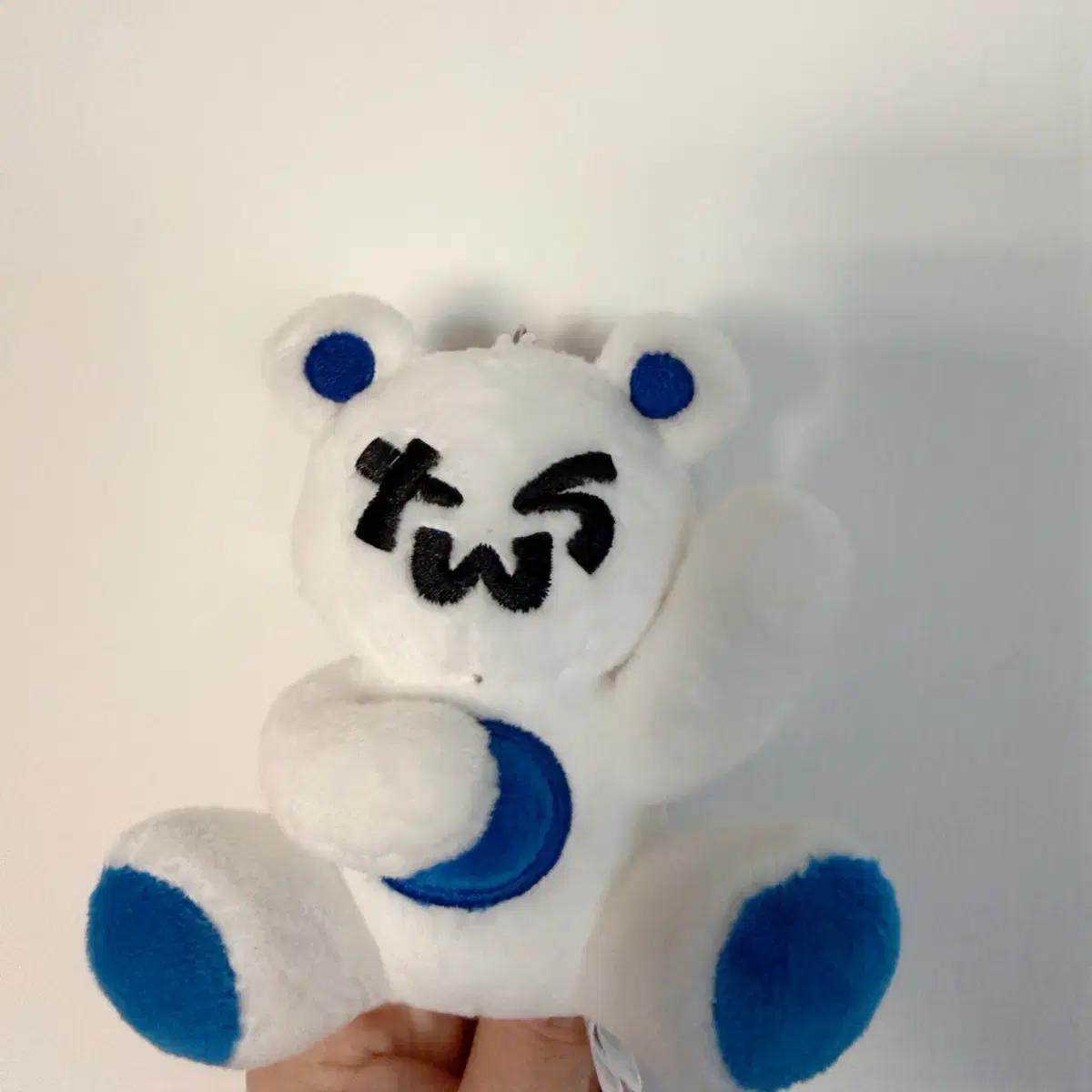 TWS 공식 키링(투곰이/plush keyring bear)(공홈 품절)