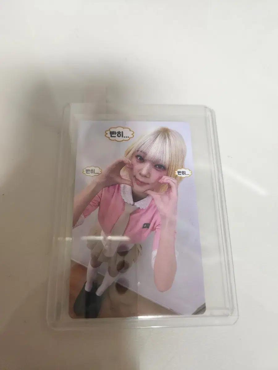 유니스 swicy 코토코 포카