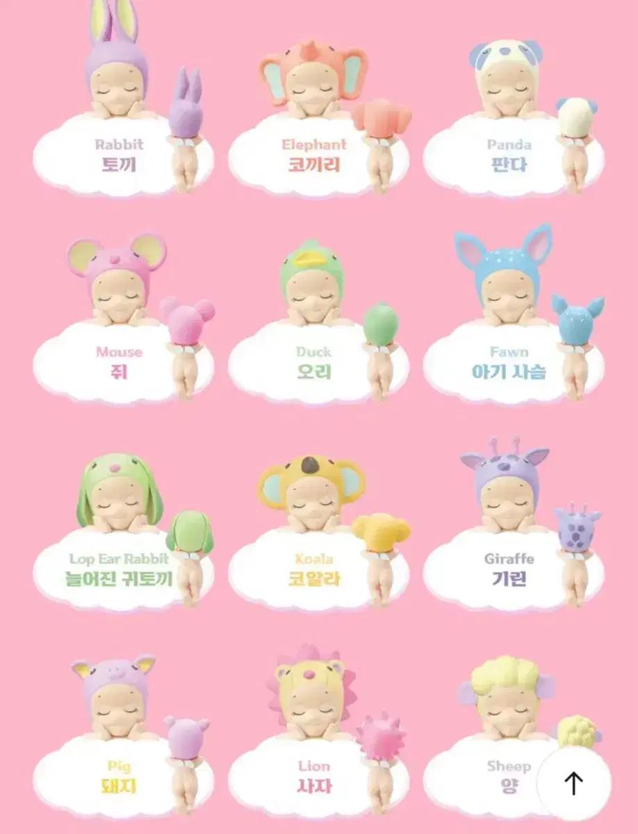소니앤젤 드리밍 사자 교환 양도