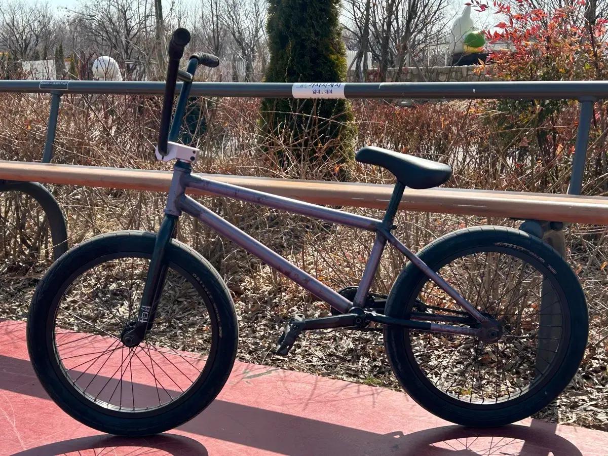 bmx 핀드