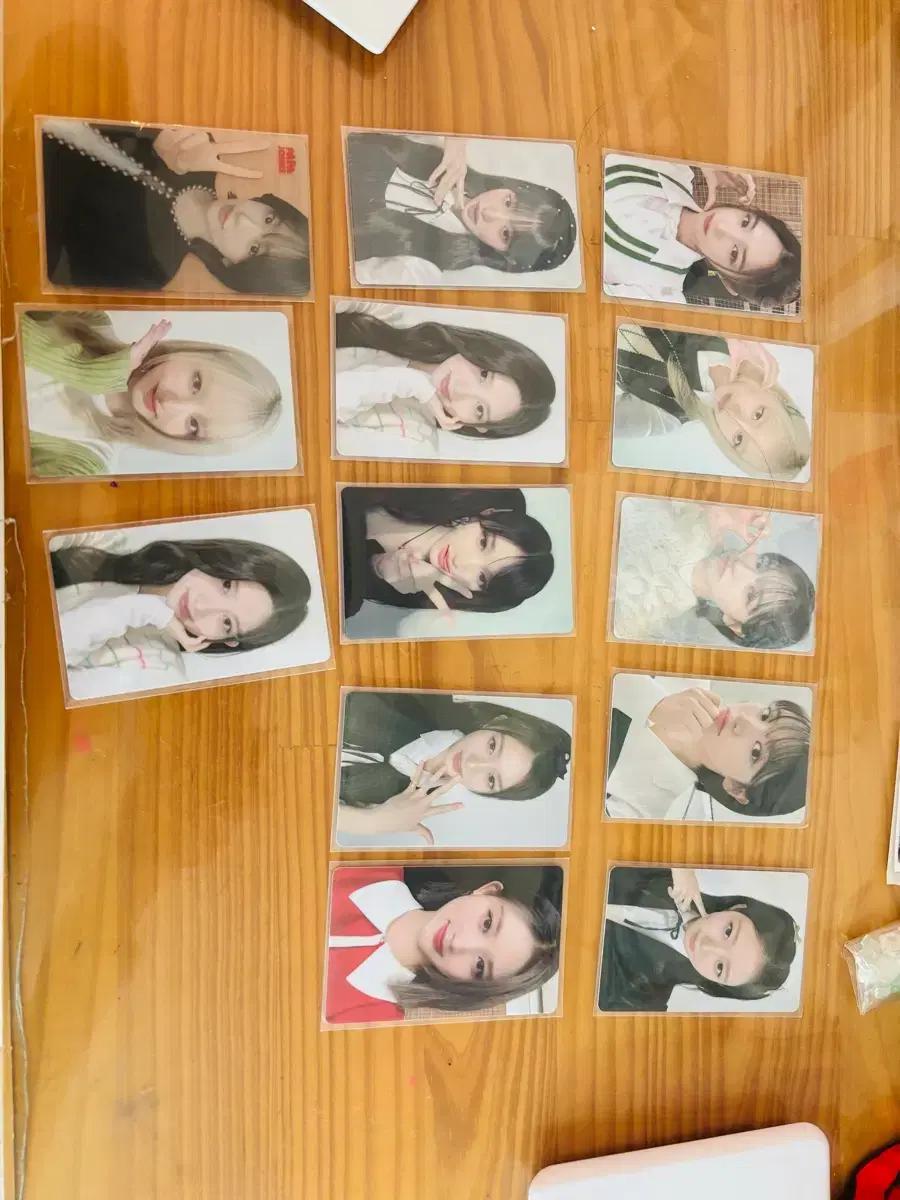 아이브 파파존스 포토카드