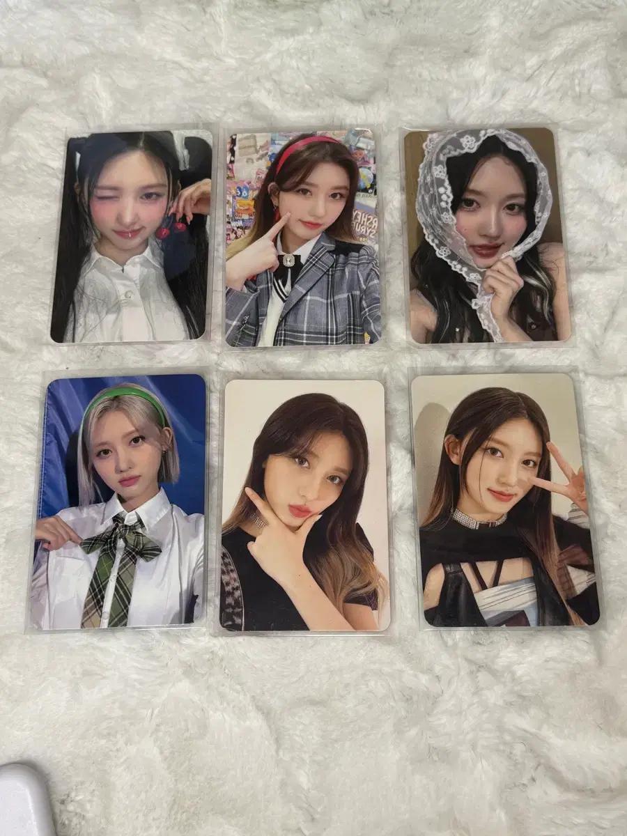 아이브 가을 리즈 포카