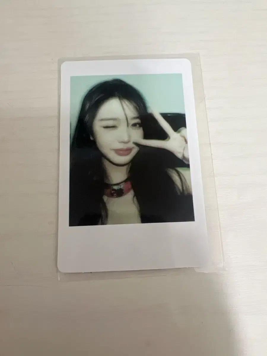 아이브 장원영 리바이브 폴라