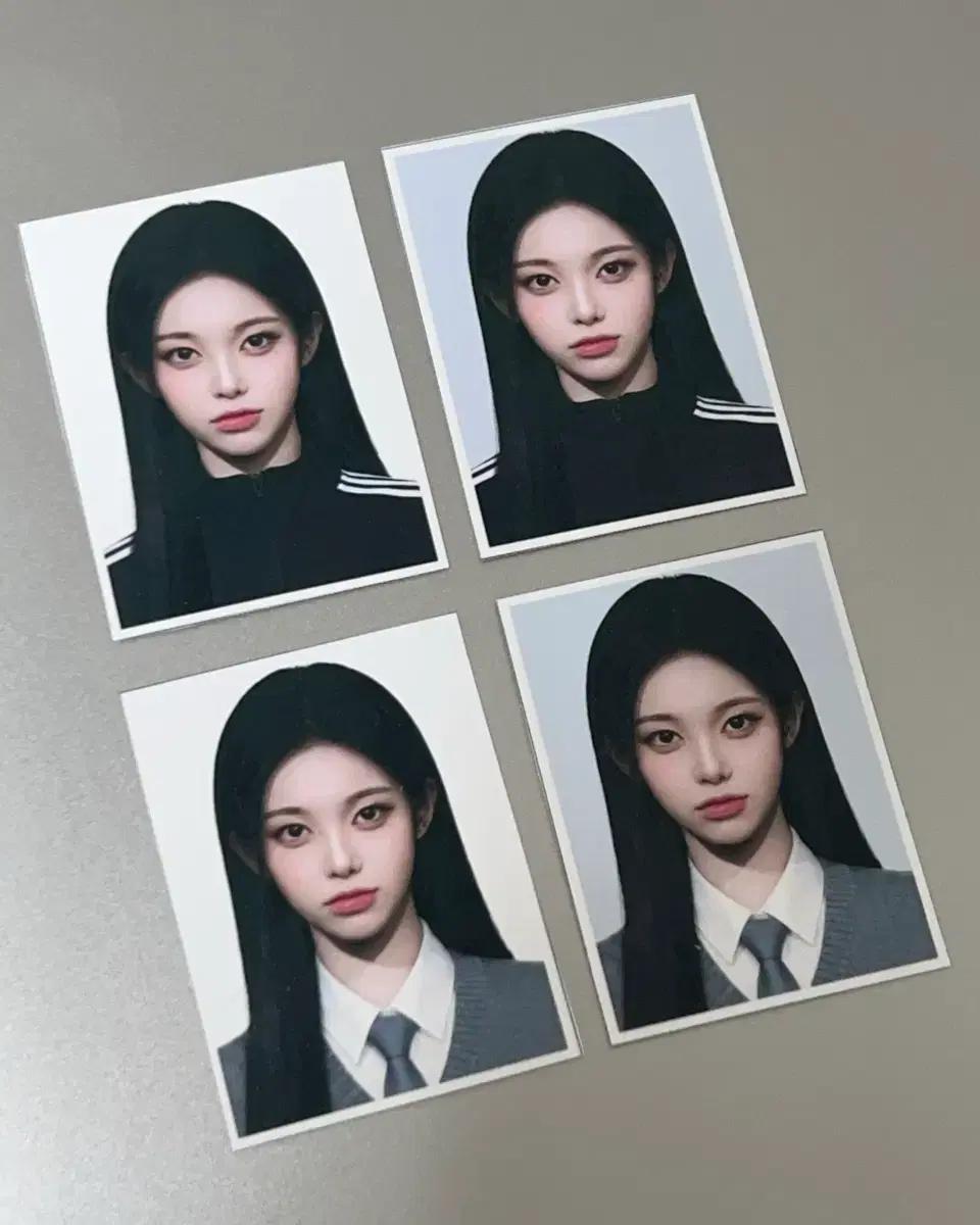 증사 4컷 일괄)하츠투하츠 하투하 이안 지우 스텔라 증명사진 비공굿 포카