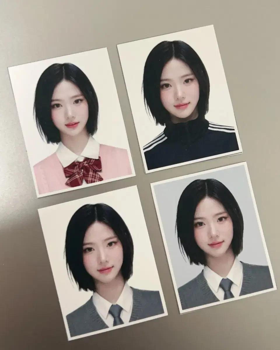 증사 4컷 일괄)하츠투하츠 하투하 지우 이안 스텔라 증명사진 비공굿 포카