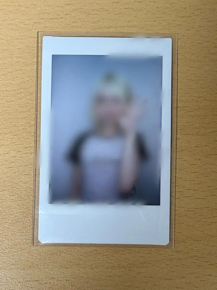 유니스 스위시 코토코 폴라
