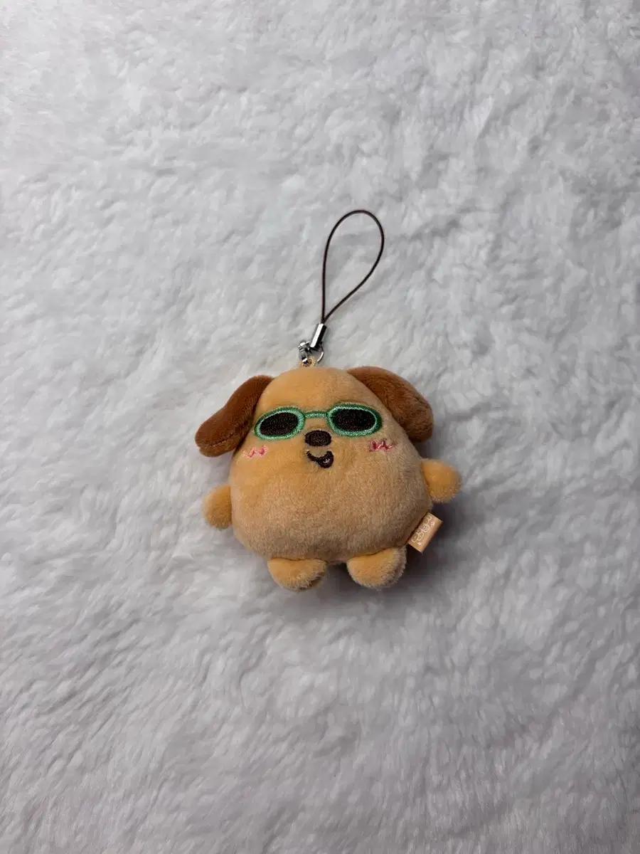 [ 라이즈 ] 태닝 멍룡이