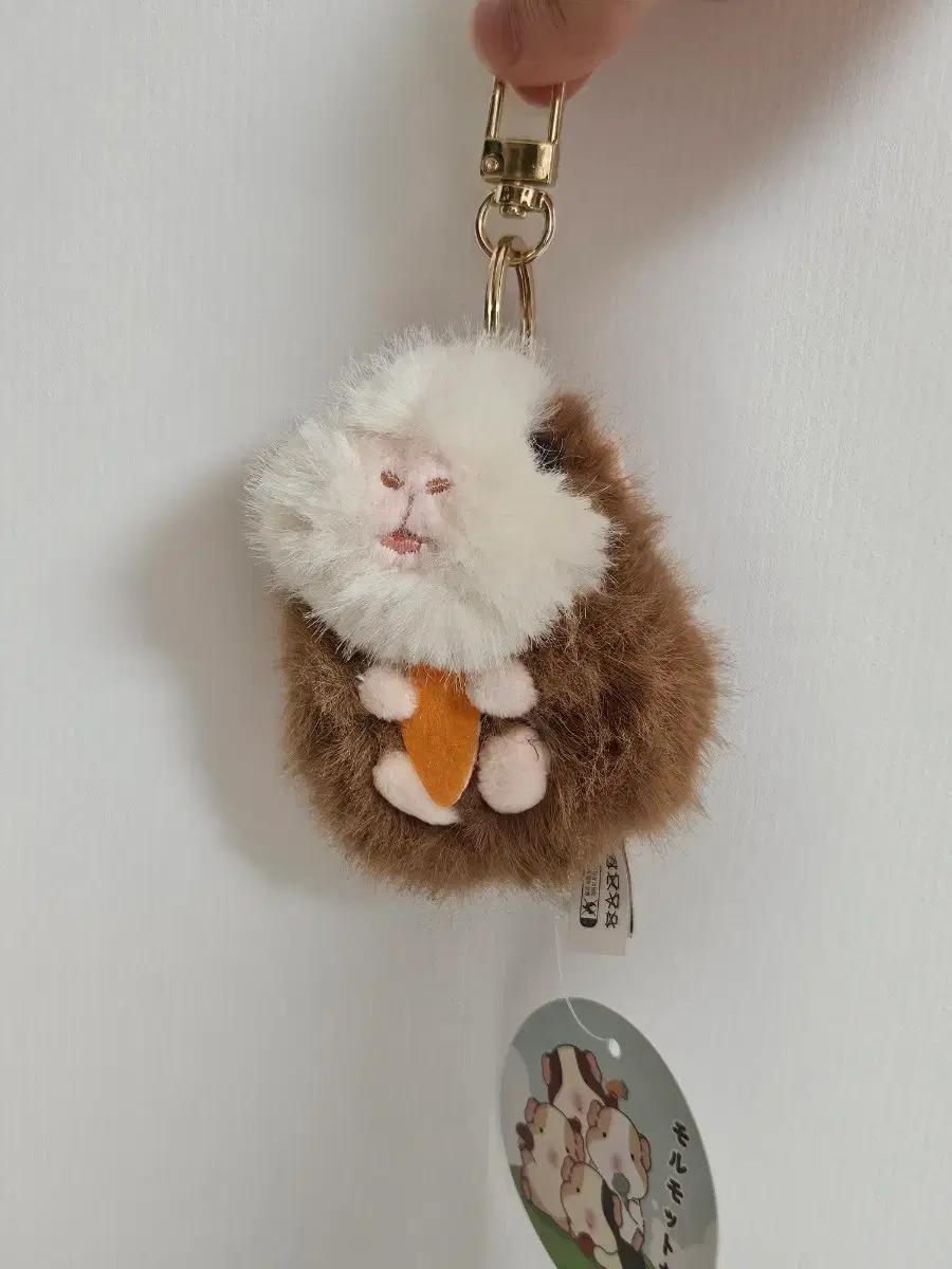 모루못토상 기니피그 인형 키링 (위시 사쿠야 아일릿 원희 아이브 레이)