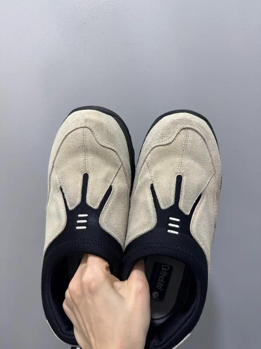 혼스비 오페라 메이플 260