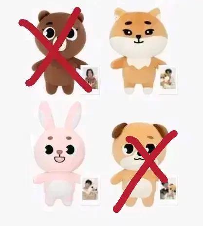 데이식스 자이언트 데니멀즈 양도