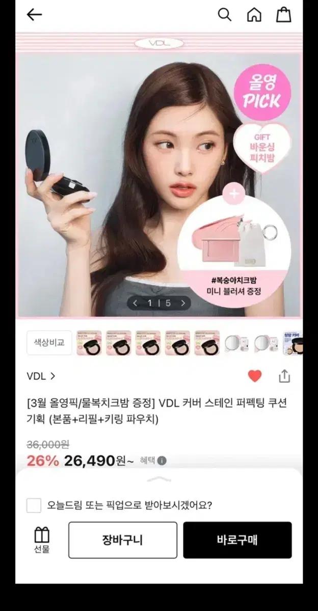 미개봉 VDL 커버 스테인 쿠션 A02리필