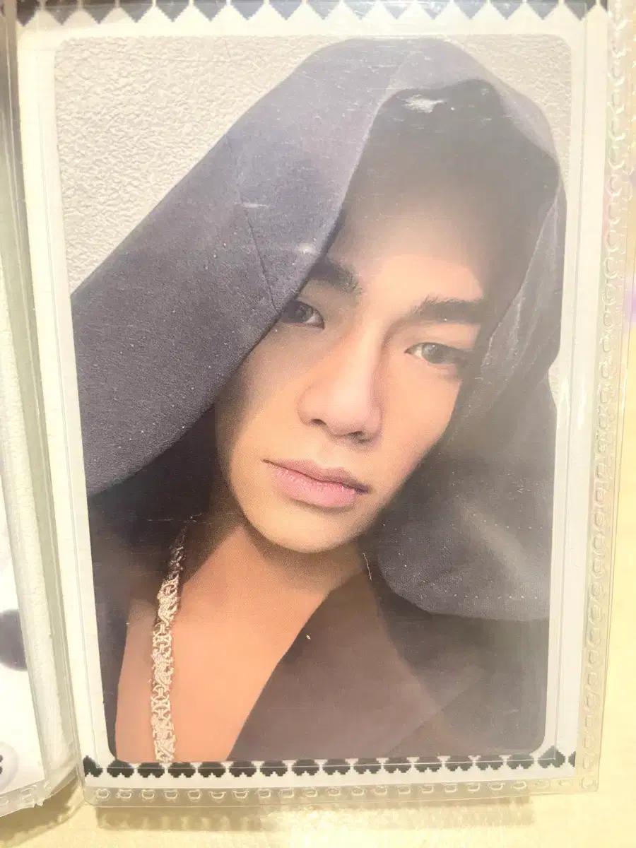 올데이프로젝트 타잔 포카