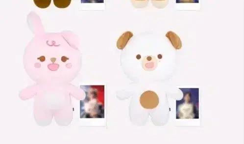 현물)))필자이언트 쁘멀 필 데이식스 쁘띠멀즈
